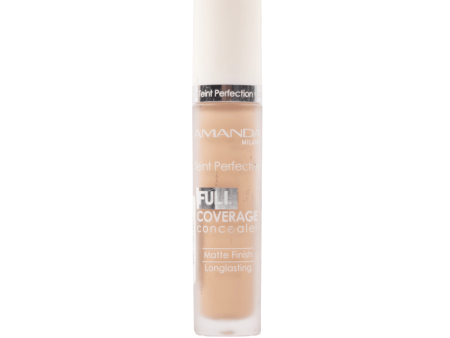 Amanda teint perfection concealer full coverage Fashion