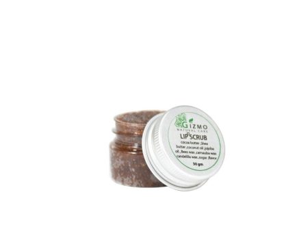 Gizmo Lip Scrub  cinnamon  flavour 30ML For Cheap