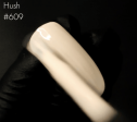 Kinetics Shield #609 HUSH Online Hot Sale